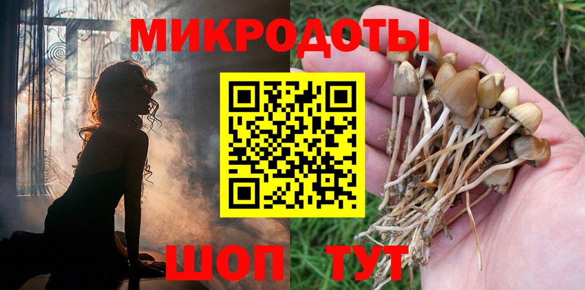 Псилоцибиновые грибы Cubensis Зерноград